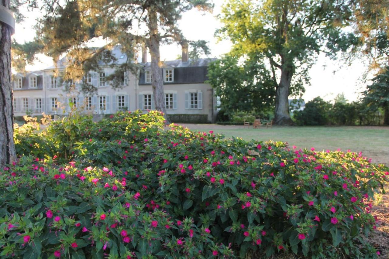 Bed and Breakfast Colivault Candé-sur-Beuvron Exteriér fotografie